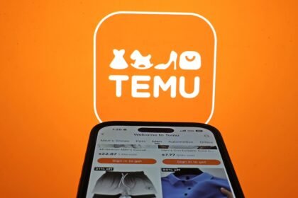 Rival de Shopee e Shein, chinesa Temu cresce no exterior e impulsiona lucro da PDD