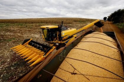 Colheita de Soja em Mato Grosso - Foto: Rodolfo Buhrer - Reuters