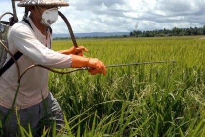 Mudanças climáticas ameaçam a saúde de pelo menos 70% dos trabalhadores do mundo, diz ONU